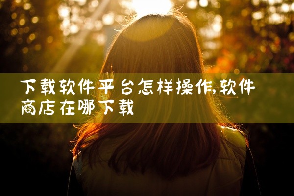 下载软件平台怎样操作