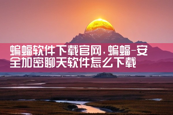蝙蝠软件下载官网