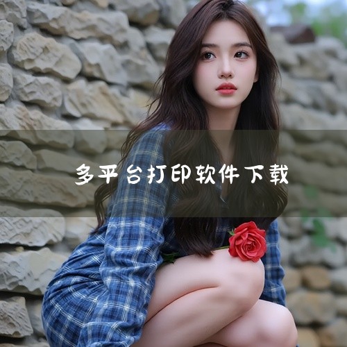 https://pan.baidu.com/s/1jwxB0f1jfYtq95Kw-Pv_lg?pwd=ssik 《NokoPrint最新版》是一款专为打印管理优化的软件，支持多设备协同与智能排程。用,