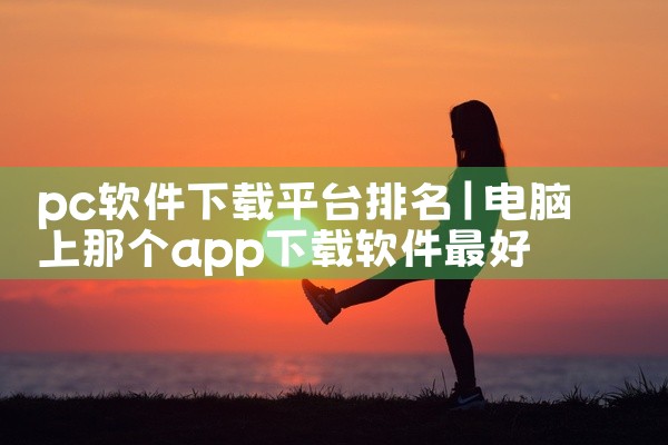 pc软件下载平台排名