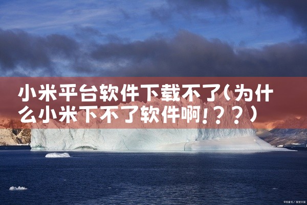 小米平台软件下载不了