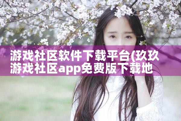 游戏社区软件下载平台