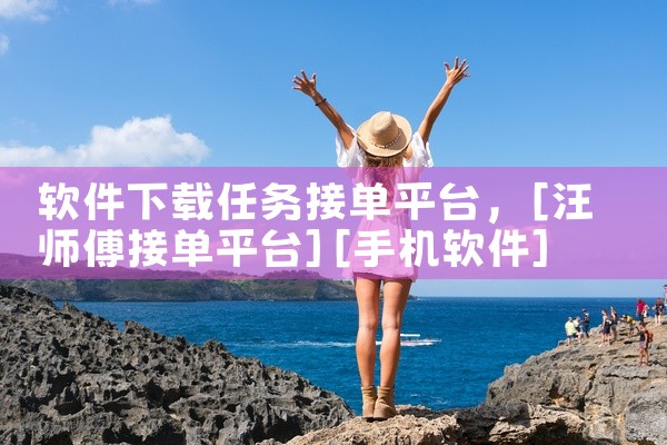 软件下载任务接单平台