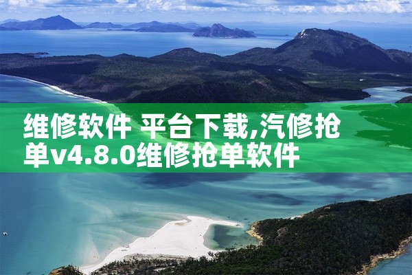维修软件 平台下载